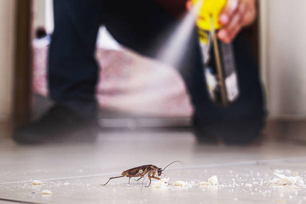 Best Best Pest Control Companies  in South Valley, NM