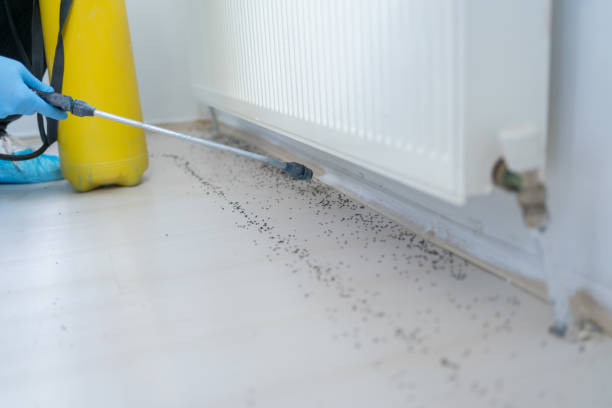Best Best Pest Control Companies  in South Valley, NM